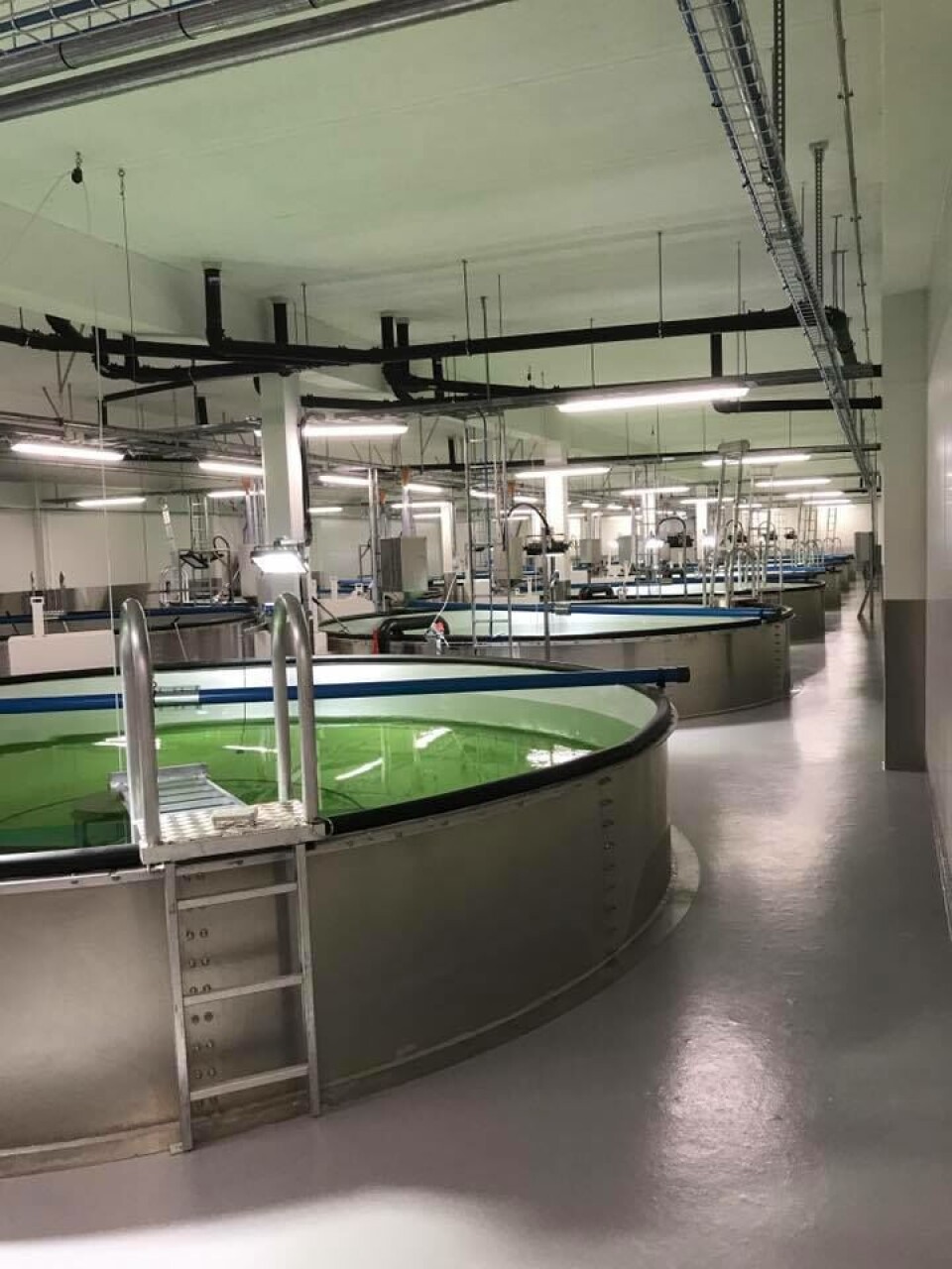 Salangfisks nye RAS-anlegg på Salangsverket i Salangen. Foto: Salangfisk AS