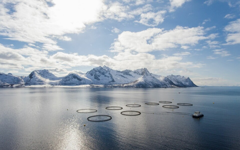 Eidsfjord Sjøfarm sin lokalitet i Senja. Foto: Eidsfjord Sjøfarm.