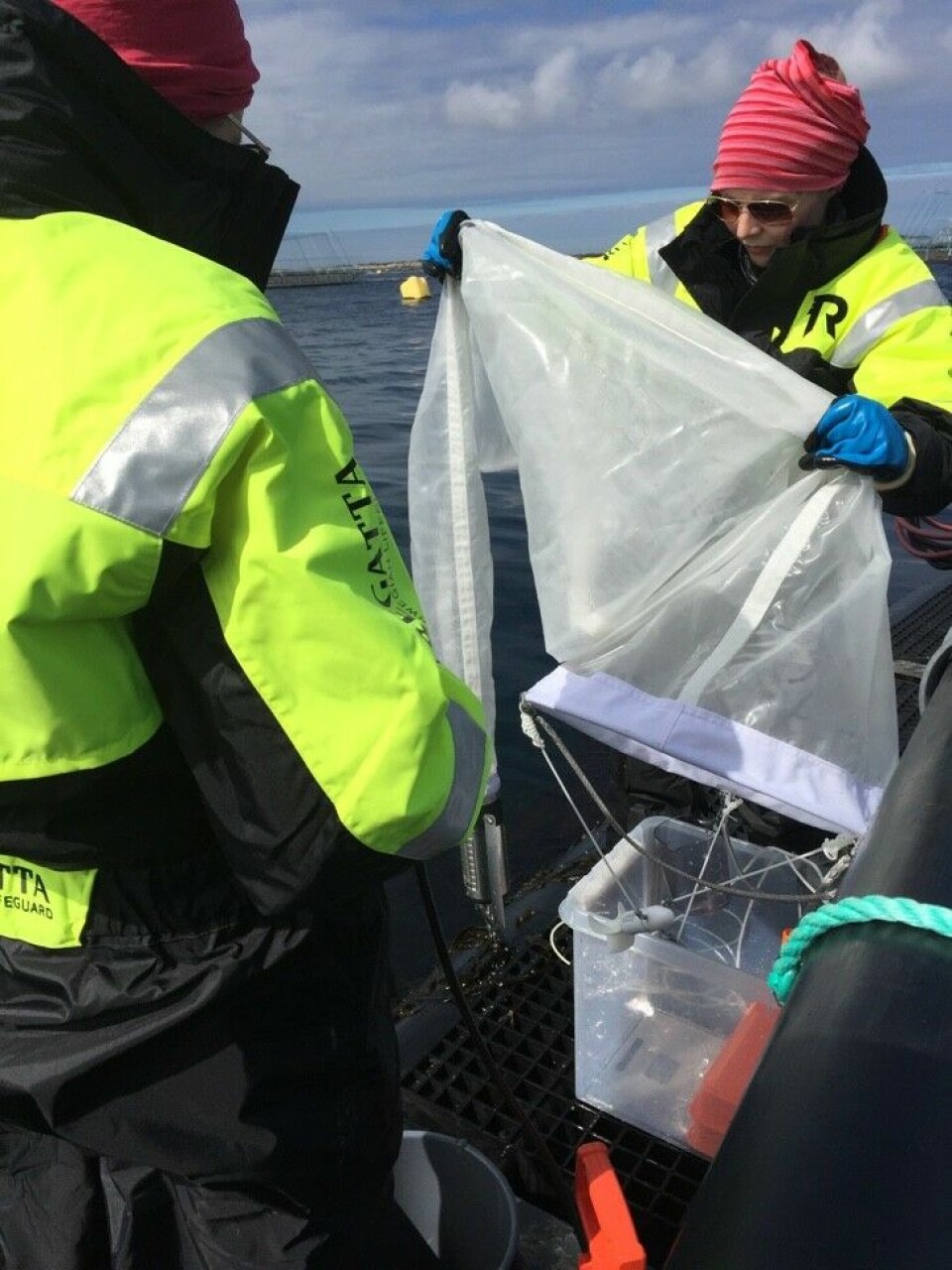 Stipendiatene har samlet prøver med planktonhov. Foto: Anna Solvang Båtnes/NTNU.
