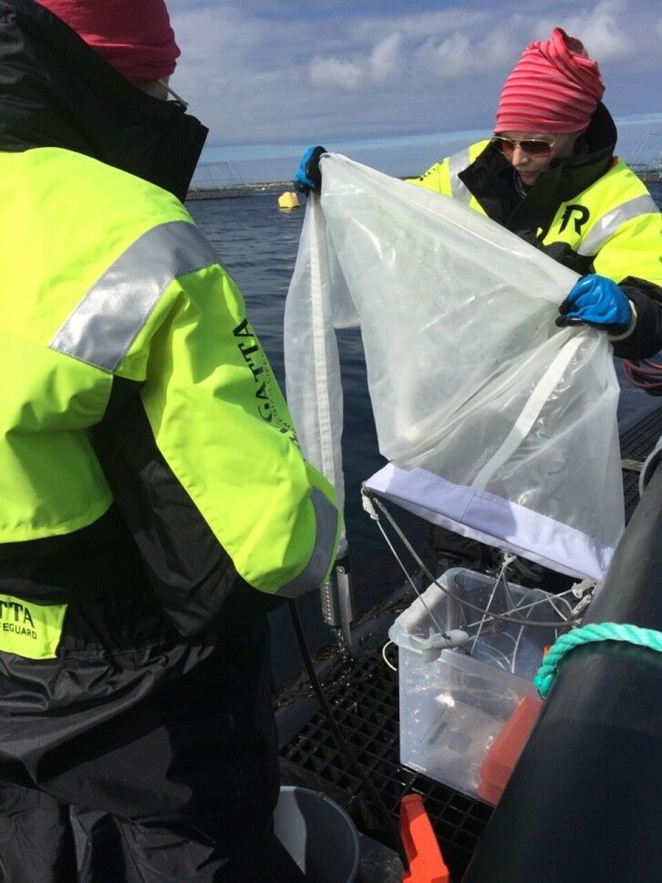 Stipendiatene har samlet prøver med planktonhov. Foto: Anna Solvang Båtnes/NTNU. Stipendiatene har samlet prøver med planktonhov. Foto: Anna Solvang Båtnes/NTNU.