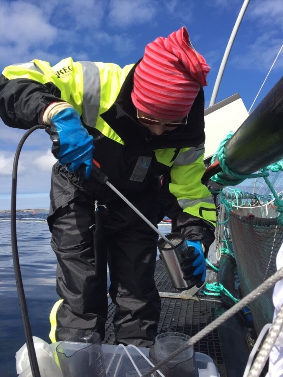 Tre stipendiater skal blant annet jobbe med å forstå hvordan sesong og ulike operasjoner påvirker lakselusen. Foto: Anna Solvang Båtnes/NTNU. Tre stipendiater skal blant annet jobbe med å forstå hvordan sesong og ulike operasjoner påvirker lakselusen. Foto: Anna Solvang Båtnes/NTNU.