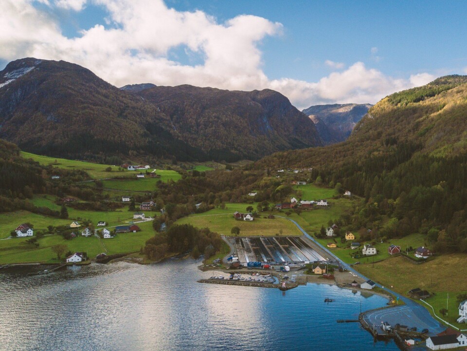 Anlegget til Sogn Aqua/Glitne i Ortnevik i Sogn. Foto: Kari Johanna Tveit.