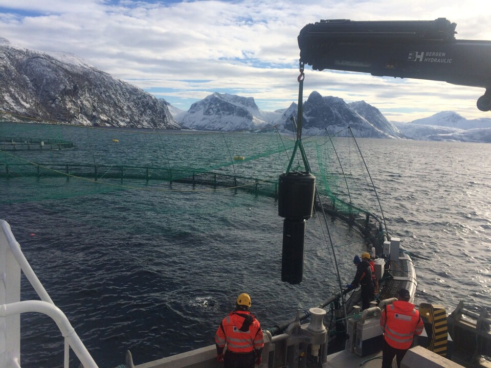 Her gjøres det klart for installasjon av laser i merd. 200 noder er installert i merder. Foto: Stingray.