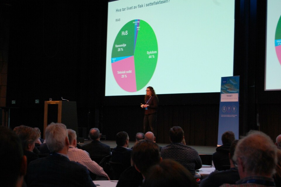 Stine Egeland, Fagansvarlig Havbruk Gjensidige Forsinking ASA under Tekset 2019. Foto: Harrieth Lundberg Stine Egeland, Fagansvarlig Havbruk Gjensidige Forsinking ASA under Tekset 2019. Foto: Harrieth Lundberg