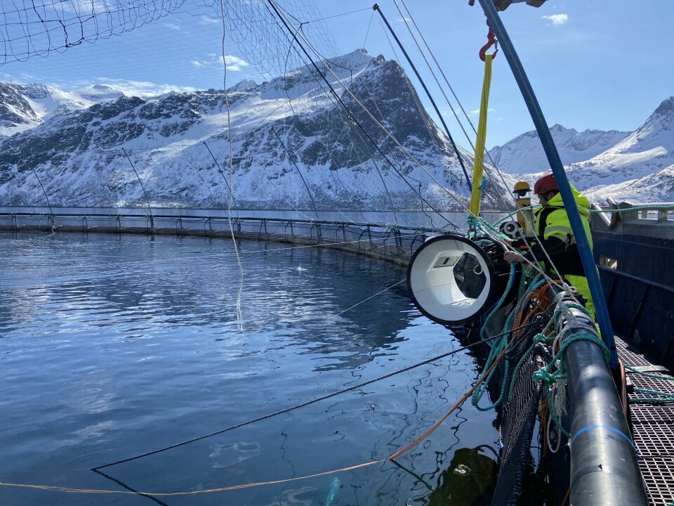 Fishency360 under installasjon i Nord Norge hos et stort oppdrettsselskap. Foto:  Fishency Innovation.