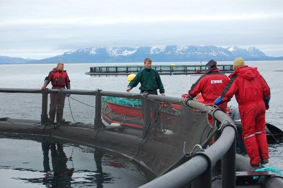 Fra merdkanten hos Kleiva Fiskefarm. Foto: Kleiva Fiskefarm.