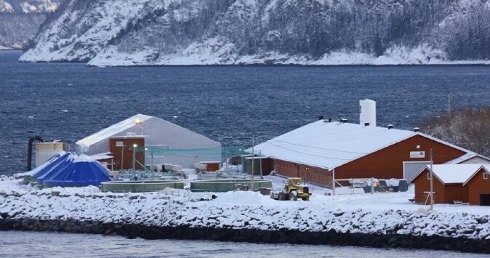 Statland er Namdal Settefisk AS sin største lokalitet med konsesjon til å produsere 7,5 mill smolt. Foto: Namdal Settefisk.