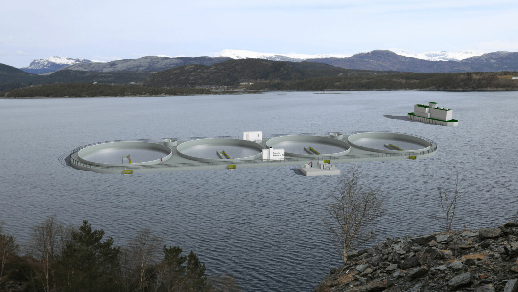 Slik har selskapet sett for seg at konseptet skal se ut, der fire bur samles til en plattform. Foto: Polarny Maritime D&E AS/Steinvik Fiskefarm