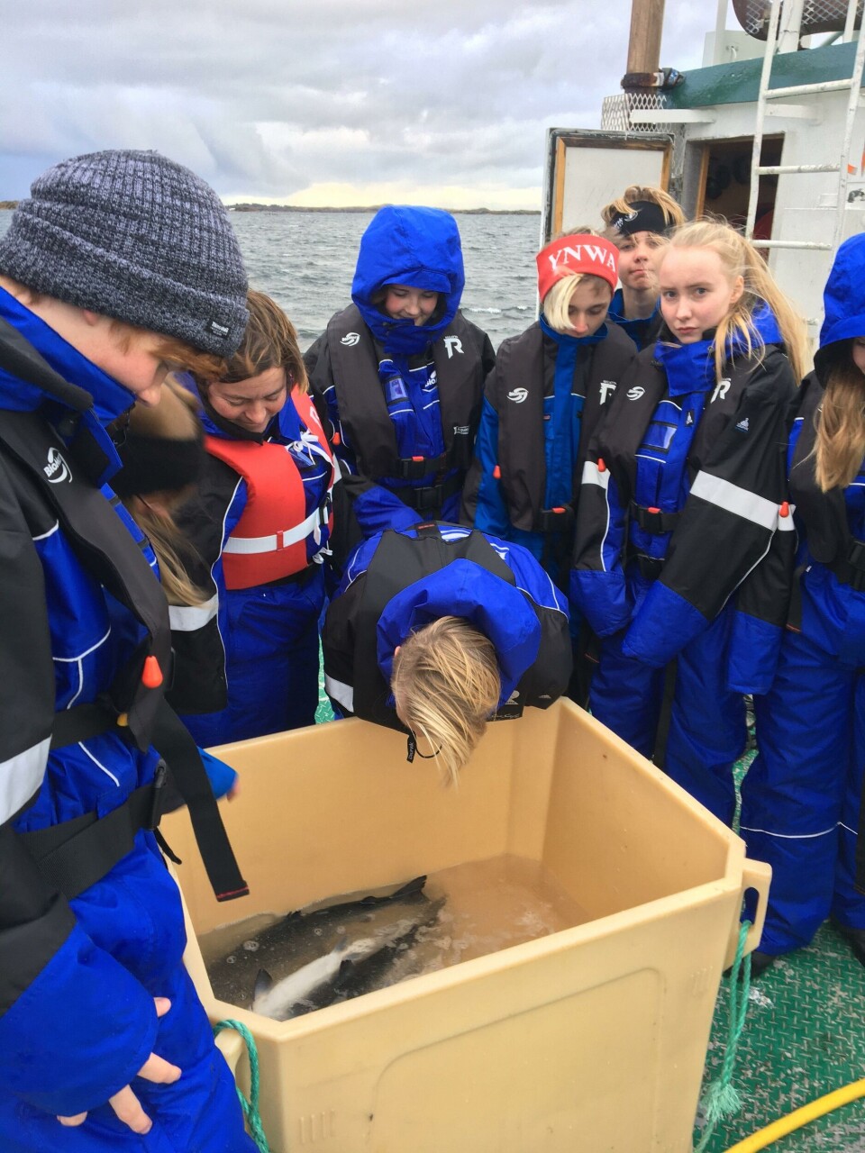 Visningssenter på Smøla. Foto: Visningssenteret på Smøla.