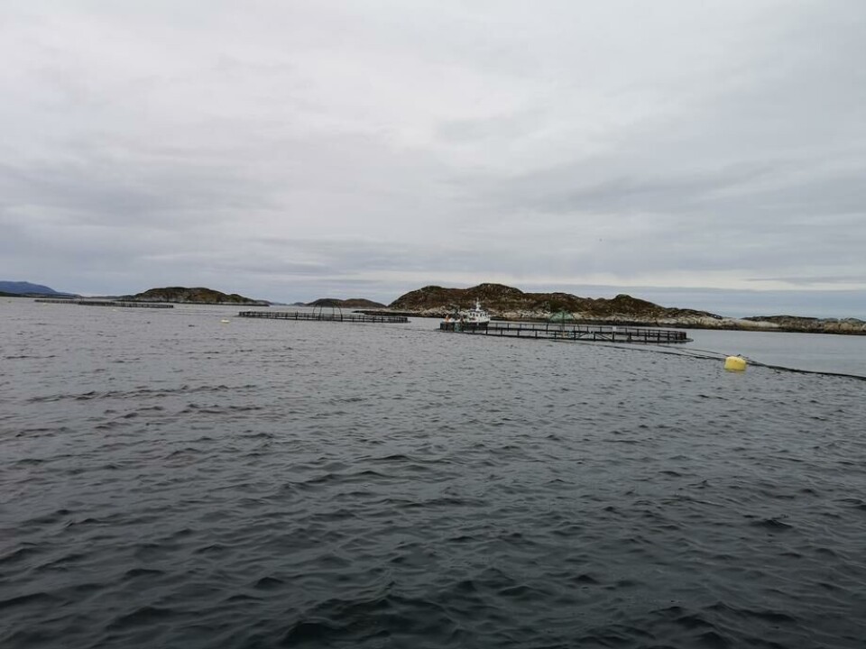 Illustrasjonsfoto: Ole Andreas Drønen