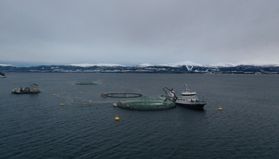 Tidligere bilde av Aquafarm sin merdløsning.