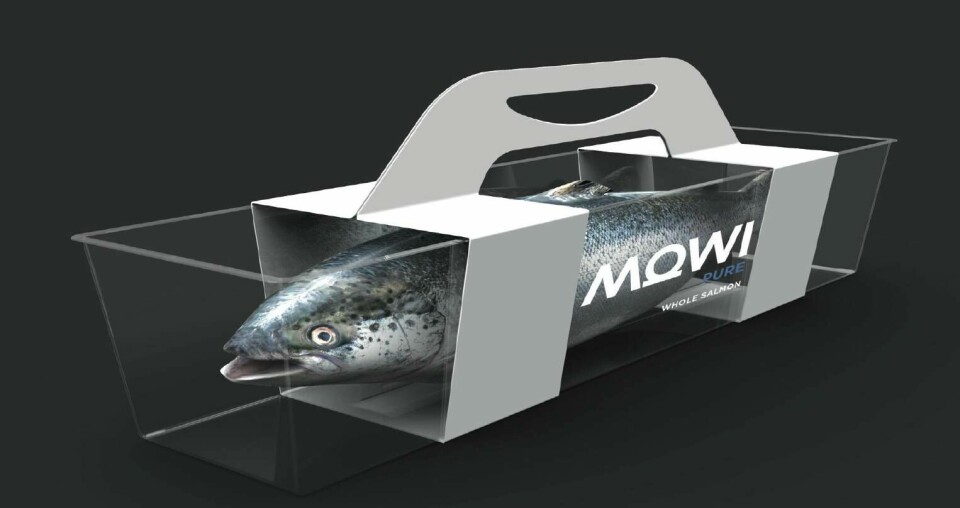 På onsdag får vi vite hvor mye fisk MOWI tror de vil slakte neste år. Nordea tror på 5 % opp fra i år. Illustrasjon: MOWI.