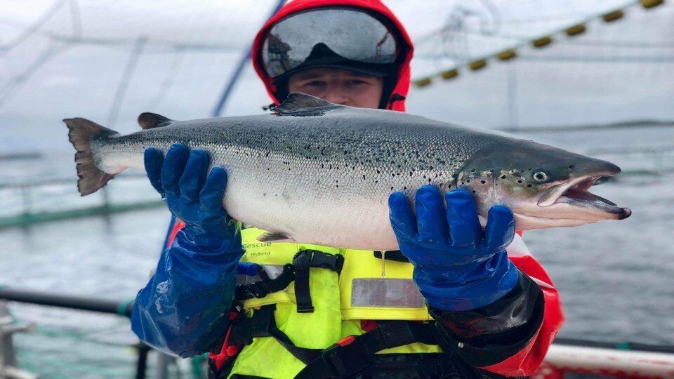 Thomas Aleksander Hansen, markedssjef i Spillfree Analytics, mener deres system gir bedre bevissthet og avgjørelser rundt fôring. Foto: Spillfree Analytics