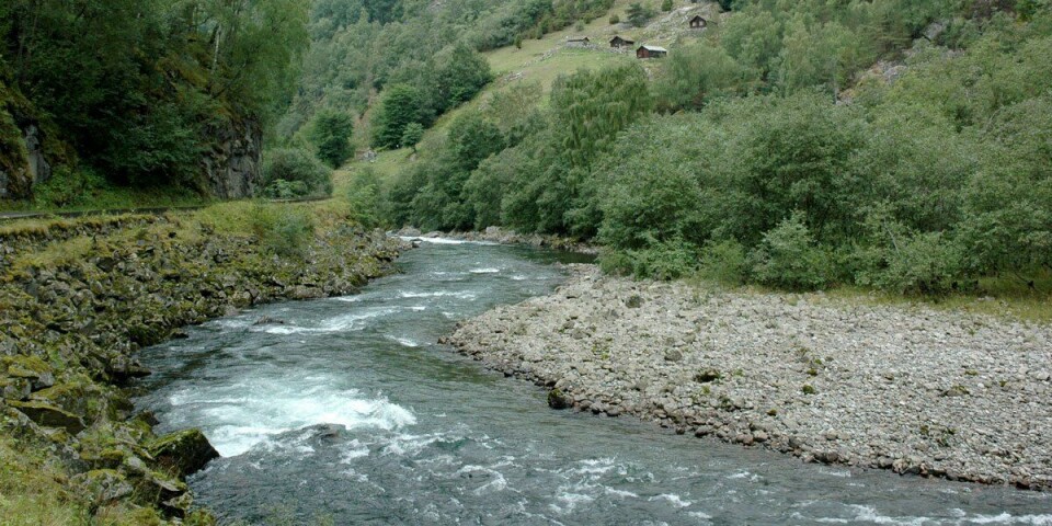 Lærdalselva. Foto: Anders Finstad Lærdalselva. Foto: Anders Finstad