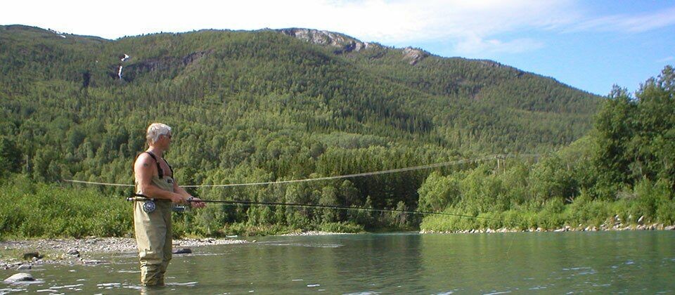 Samarbeid mellom flere aktører som påvirker villaksen gir resultater i Beiarelva. Foto: Beiarelva.no