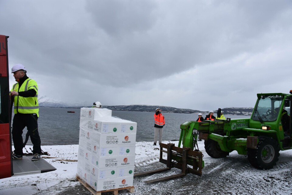 Rogna er ankommet Forsan i Steigen. Foto: Aquagen.