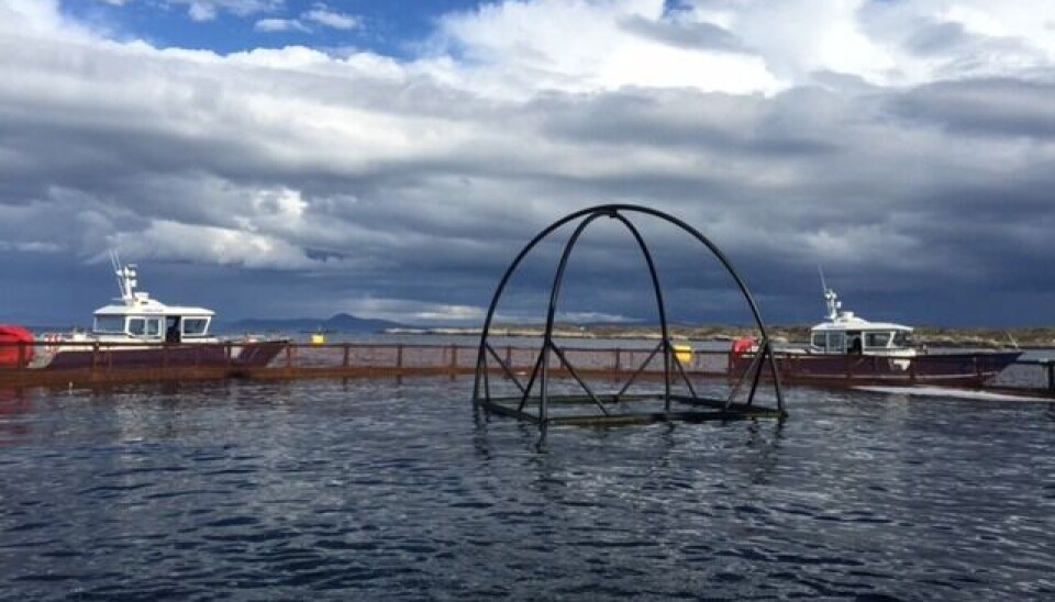 Salmonor-lokaliteten Hjortøya. Foto: Salmonor.