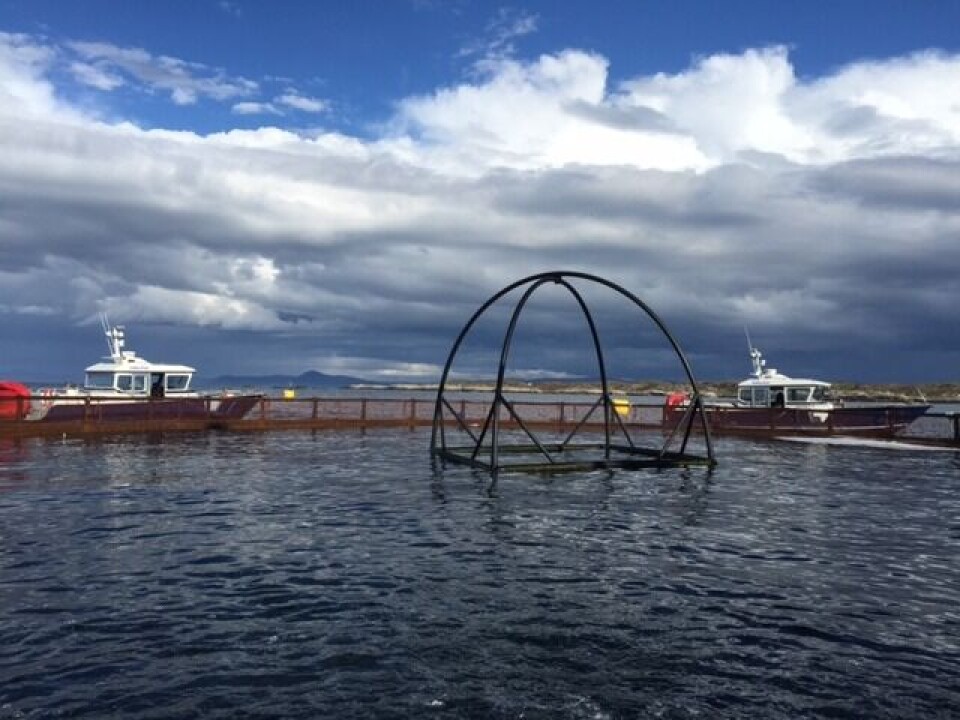 Salmonor-lokaliteten Hjortøya. Foto: Salmonor.