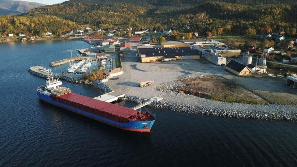 Skrinlegger investering: Salmonor AS trekker planene om å bygge et settefiskanlegg i Terråk i Bindal kommune. Foto: Brukstomta Næringspark AS