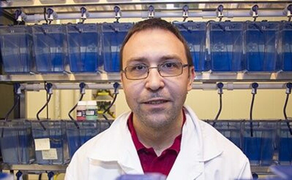 Professor Igor Babiak ved Fakultet for biovitenskap og akvakultur. UiN