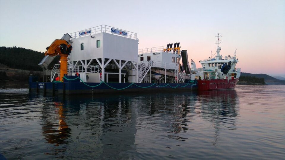 «Langholmen» er et av SalmoNor sitt våpen i lusekrigen. Her kan man se Hydrolicer-plattformen og følgebåt bemannet av personell fra KB Dykk AS. Foto: Halsnøy Dokk AS