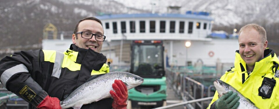 Nofima-forskerne Audun Iversen og Øystein Hermansen kan i en fersk rapport om konkurranseevnen for norsk laks, slå fast at Norske oppdrettere fortsatt er blant de mest effektive i verden. Foto: Jon-Are Berg-Jacobsen/Nofima