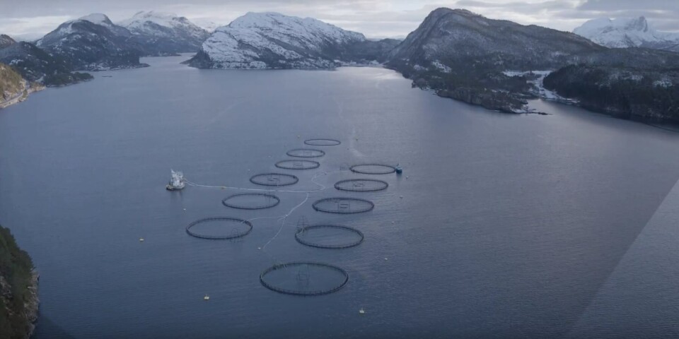 Skjermdump frå rekrutteringsvideo for havteknologi. Foto: Høgskulen på Vestlandet.