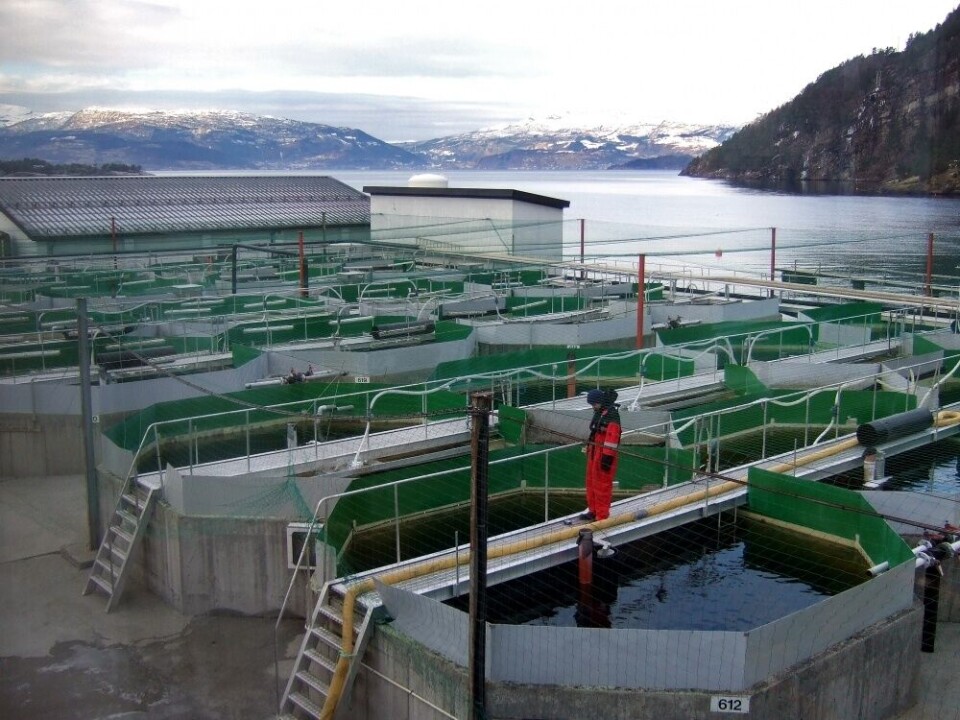 Landbasert anlegg. Foto: Fiskeridirektoratet.