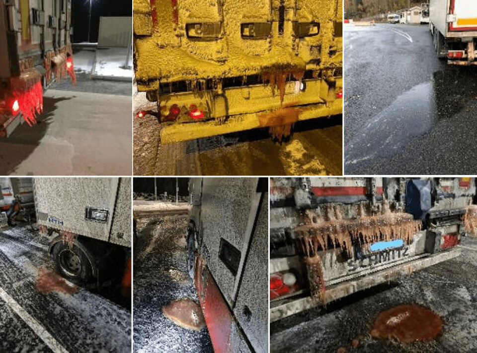 Noen eksempler på fisketransporter med rennende last. Bildene er tatt av Statens vegvesens kontrollører.