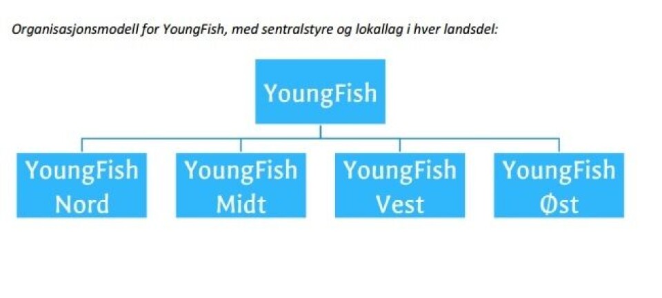 Youngfish organisasjonen