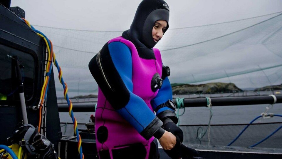 AKVA Marine Services utfører serviceoppdrag for blant annet oppdrettsnæringen og offshoreindustrien. Her gjør Ragnhild seg klar til å inspisere en not. Foto: Øyvind Sætre/AKVA group.