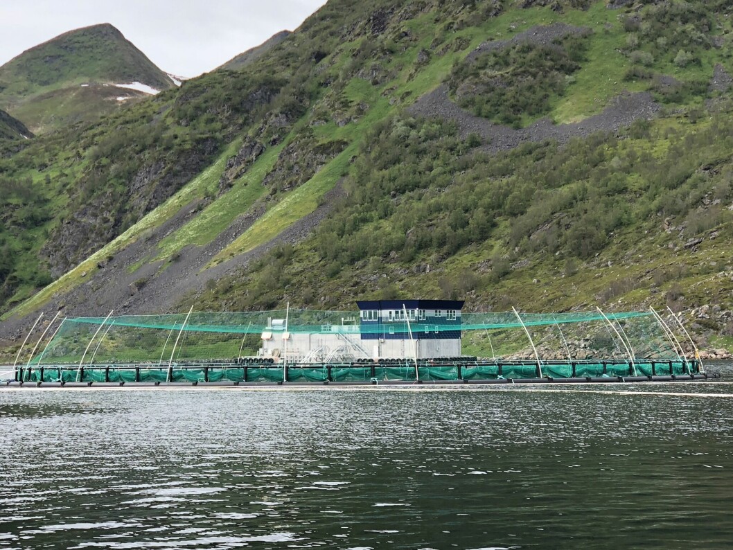 Marine Construction har levert ny fôrflåte ved navn Zevz til Cermaqs lokalitet i Alta. Foto: Cermaq/Tor Espen Olaussen.