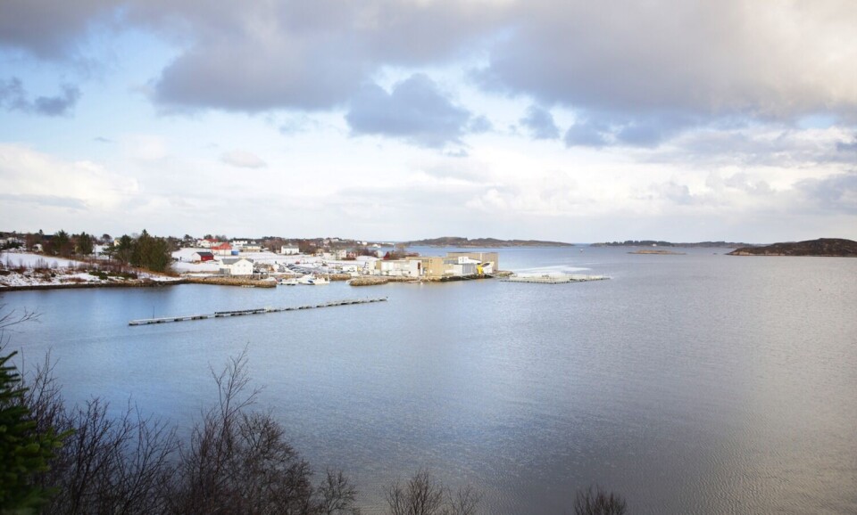 Hovedkvarteret til selskapet er etablert på Averøy. Foto: Pure Norwegian Seafood.