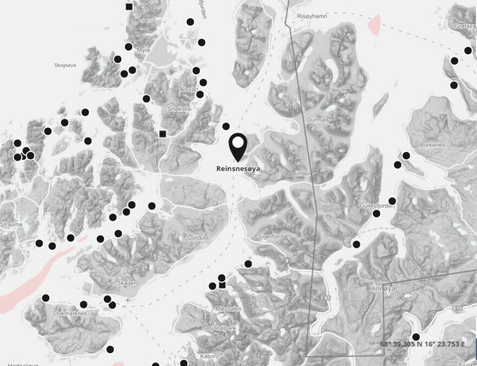 Illustrasjonskart over lokaliteten Reinsnesøya. Kilde: Barentswatch.