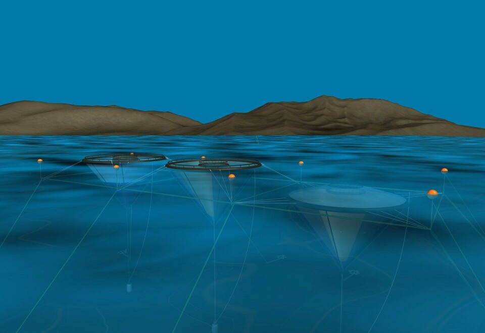 Prosjektet er basert på subfishcage og skal senkes 15 meter under lusebeltet. Foto: Gifas Marine AS.