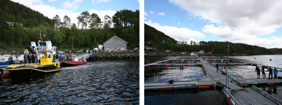Se video fra Åpen Dag på Steinvik Fiskefarm Visningssenter i fjor. Video: Steinvik Fiskefarm Visningssenter