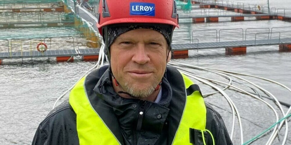 Krister Hoas blir ny regionsjef i Sjømat Norge. Foto: Lerøy