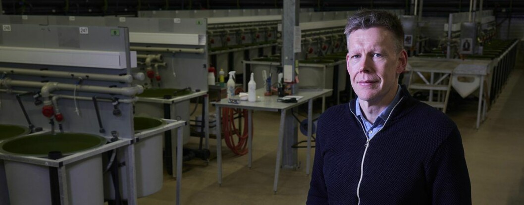 Øyvind J. Hansen er ny leder for Nasjonalt avlsprogram for torsk og Senter for marin akvakultur. Foto: Audun Iversen/Nofima.
