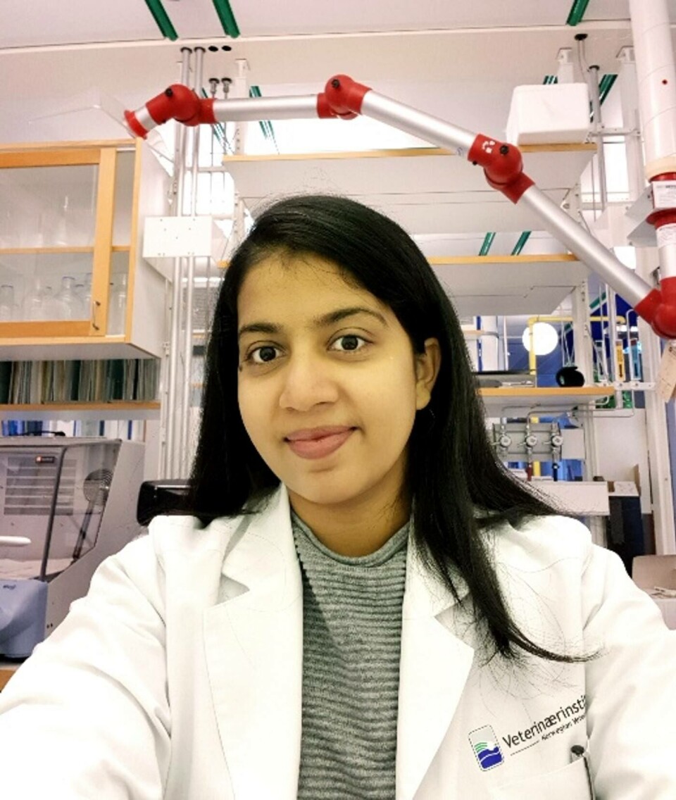 Amritha Johnys studie tar for seg virkningen plantebasert fiskefôr kan ha på fiskens helse og på matsikkerhet. Foto: Privat.