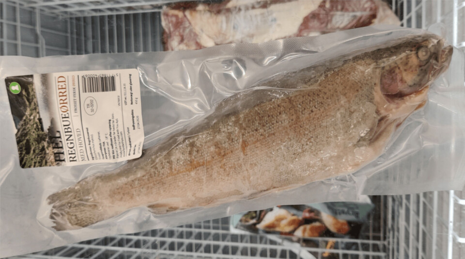 Tyrkisk ørret til salgs i Danmark. Fisk med vekt på 450 gram selges for 30 danske kroner per stykk. Den store tyrkiske ørreten blir i første rekke eksportert til Russland og Japan. Foto Terje Engø.