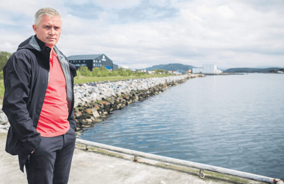 Satsar: Petter Marius Synnes og Nordi Ocean AS har sendt inn byggesøknad til Giske kommune om løyve til landbasert oppdrett av den populære algearten ulva, betre kjend som havsalat. Området dei har søkt om løyve er på Nordnes Gruppen si tomt i bakgrunnen. Foto: Øyvind Snorre Magelsen Godø