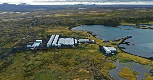 StofnFiskur endrer navn til Benchmark Genetics Iceland
