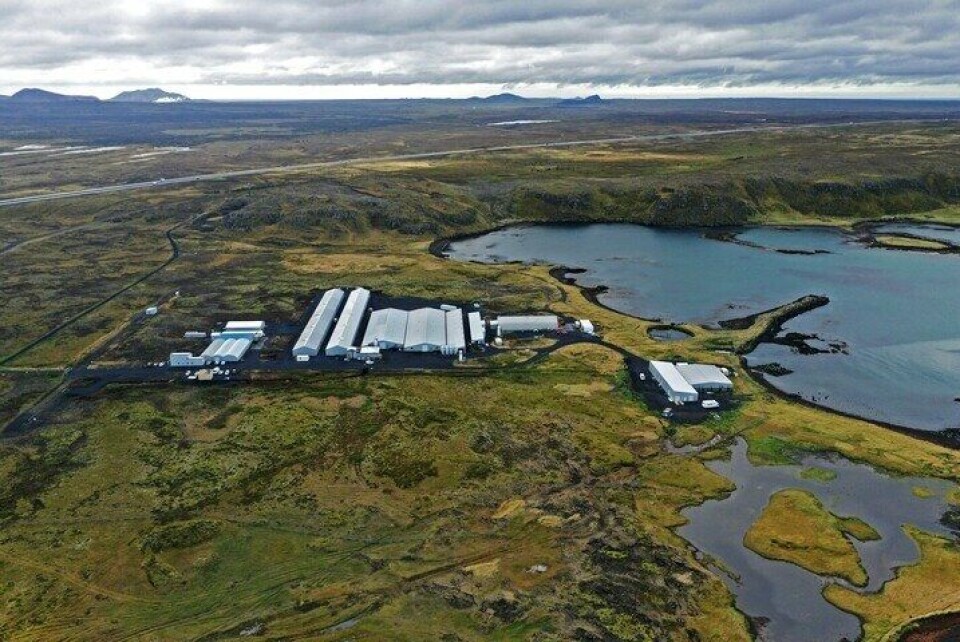 Vogavik avlsstasjon og inkubasjonssenter. Foto: Benchmark Genetics Iceland