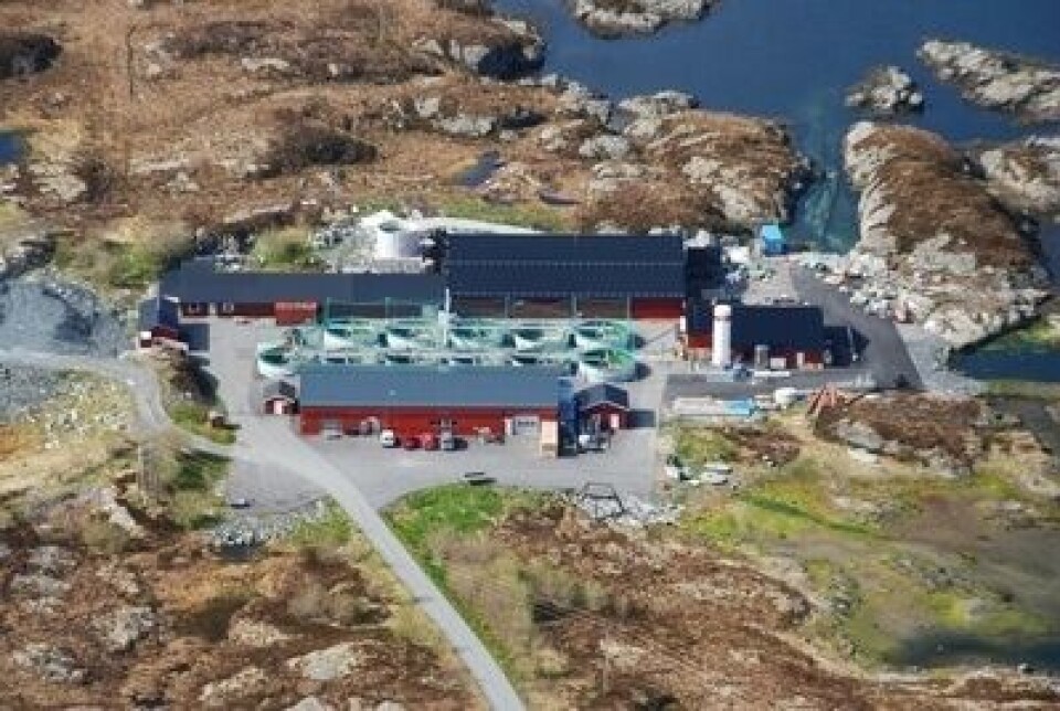 Nekton og Smøla Klekkeri jobber også med et prosjekt hvor man skal omdanne fiskeslam til biogass og fullverdig plantegjødsel. Foto: Smølaks