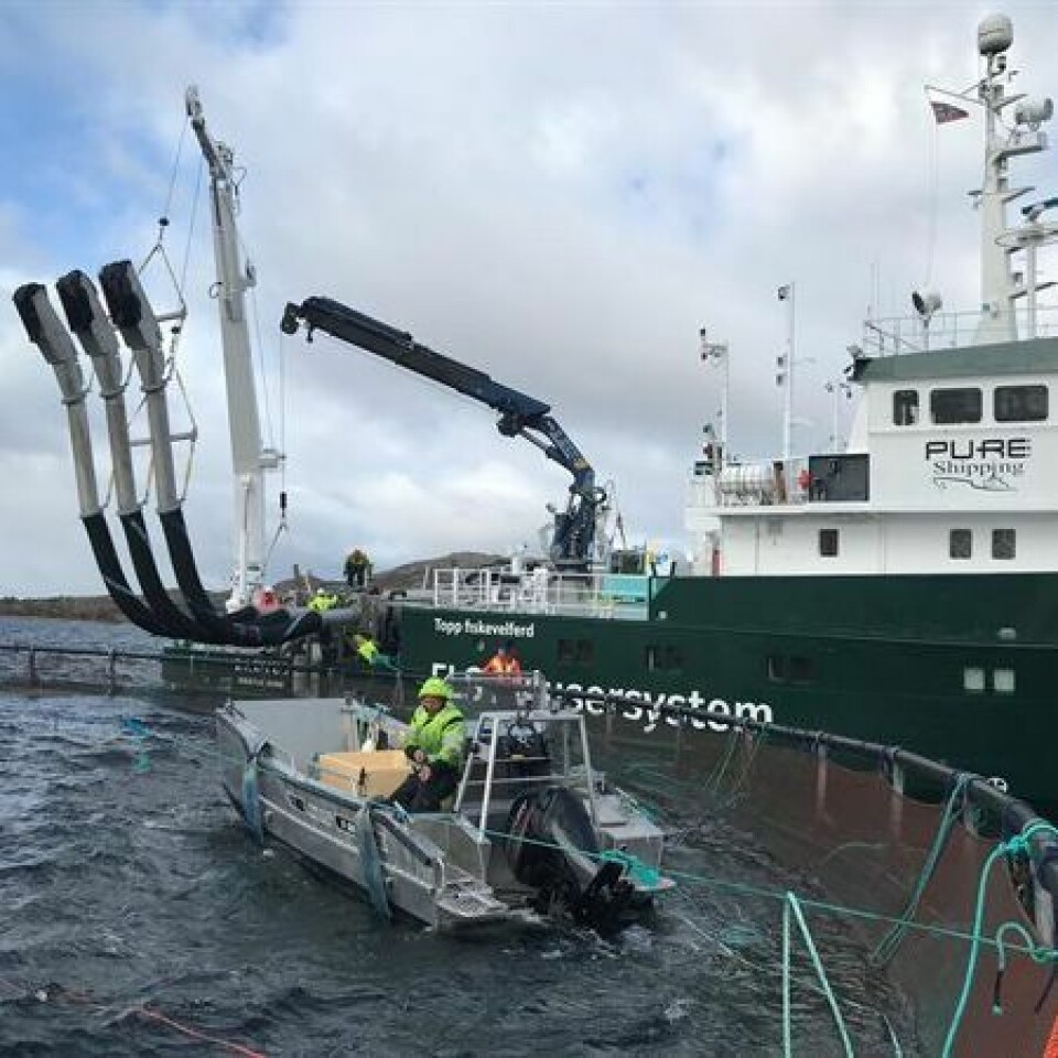 «Lautus» har kapasitet til å ta oppimot 150 tonn fisk i timen. Foto: Bjørnar Blaalid.