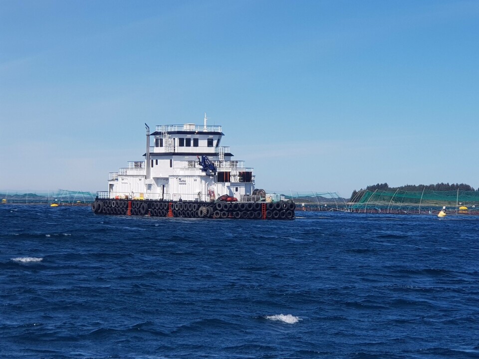 Fluctus har hittil i år levert en fôrflåte, og skal i løpet av april levere enda en. Foto: Fluctus.