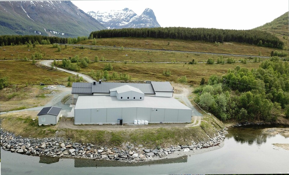 Ved anlegget som ligger i Troms skal selskapet for første gang ta i bruk RAS-teknologi, og det er Billund Aquaculture som står for levering av teknologien. Foto: Elvevoll Setterfisk AS.