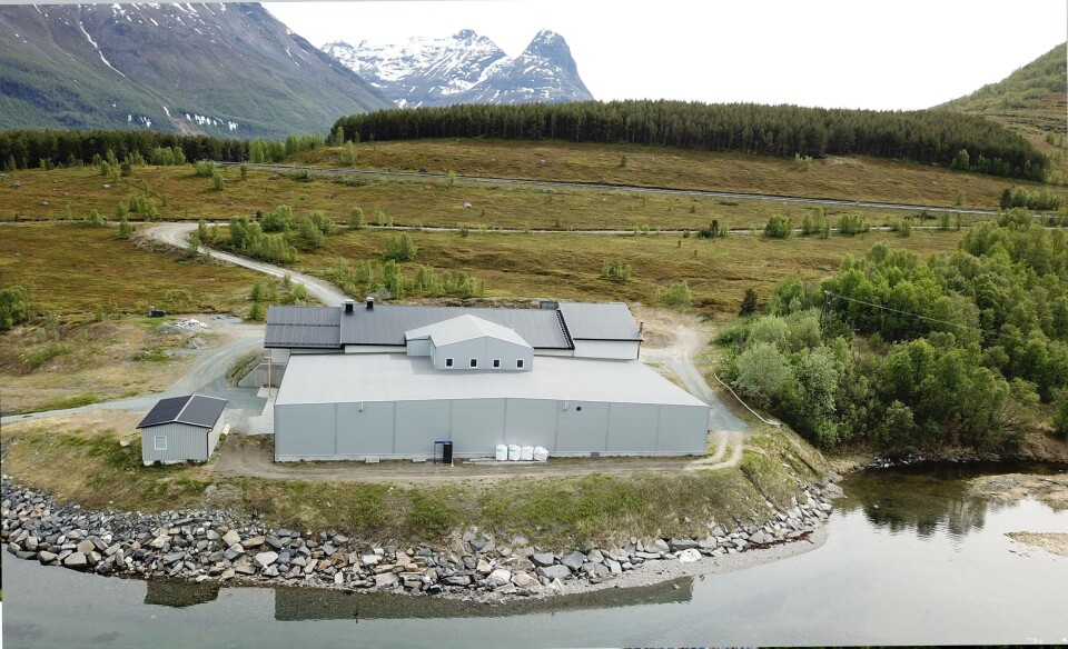 Ved anlegget som ligger i Troms skal selskapet for første gang ta i bruk RAS-teknologi, og det er Billund Aquaculture som står for levering av teknologien. Foto: Elvevoll Setterfisk AS. Ved anlegget som ligger i Troms skal selskapet for første gang ta i bruk RAS-teknologi, og det er Billund Aquaculture som står for levering av teknologien. Foto: Elvevoll Setterfisk AS.