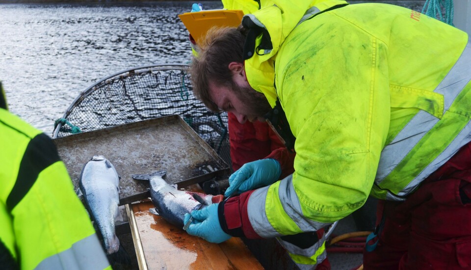 Kristian Ulven har jobbet et halvt års vikariat i Labora, og har nå vendt nesen hjem til sitt kjære Bergen. Foto: Labora.