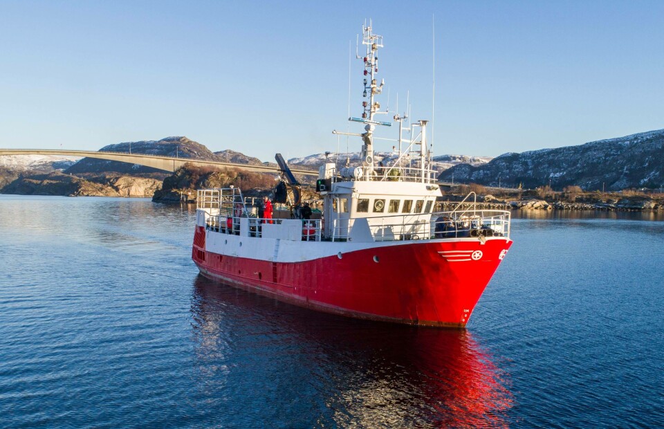 Holberg Shipping har nylig investert i en ny brønnbåt, som nå er under ombygging. Denne skal frakte rensefisk og smolt. Foto: Holberg Shipping.